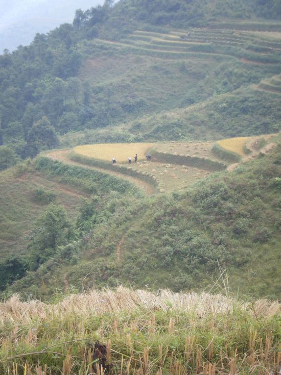 Album - Week end à Sapa