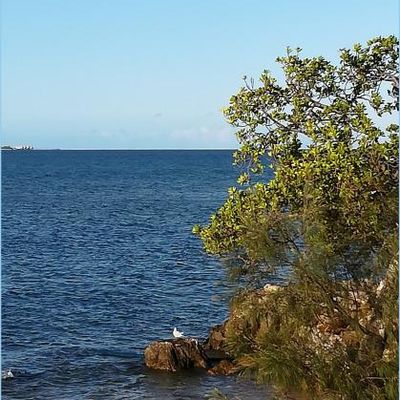 L'Anse Vata au petit matin