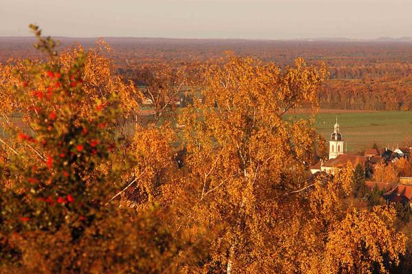 De Chapelle des Bois au Grand Colombier, de Pont de Roide à Pontarlier, voici en quelques images le massif du jura