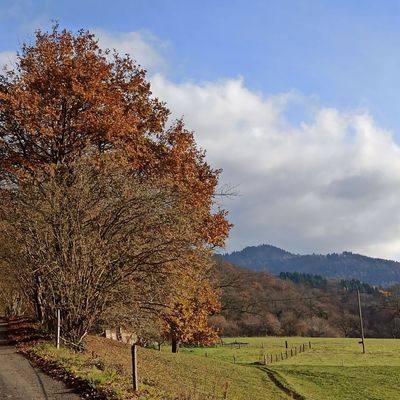BITSCHWILLER-LÈS-THANN : LES PISTES CYCLABLES DE LA THUR (R 834) ~ 9,2 km ~ D+ 80 m ~ 2h 15mn ~ 2,5/6 ~ *** ~ Compatible VTT-VAE