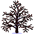 Le blog de quercus49