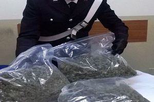 Traffico internazionale di droga, 21 arresti tra Campania e Spagna