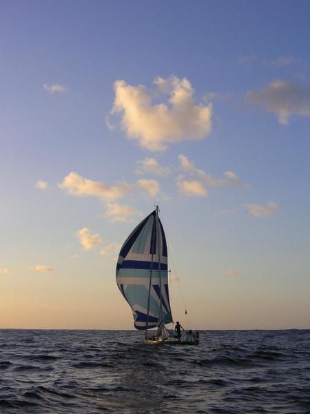 Les photos de la Traversée, certaines sont prises du Millepertuis, d'autres du Seizh Avel.
Millepertuis a un spi bleu et blanc et Seizh Avel a un spi rouge et blanc.
Que de bons moments.