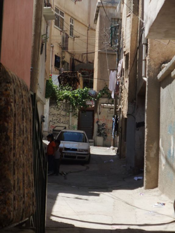 Les deux camps de réfugiés proches de Ramallah où je donne des cours de Français et leurs alentours (Jifna, pres de Jalazon) / The two refugee camps near Ramallah where I give French classes and around (Jifna close to Jalazon)