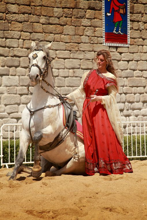 Fête Médiévale de Guerande 2011  fete medievale de guerande spectacle et défilé