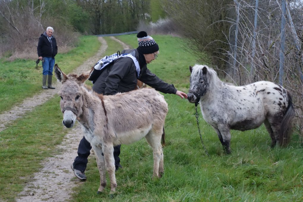 Randonnée de Dannemois du 2 avril