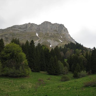 Randonnées dans les Bauges (Savoie)