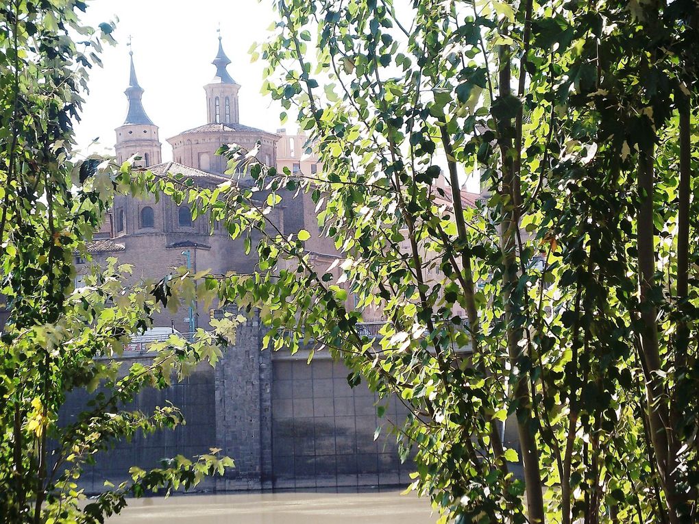 Album - Puentes-de-Piedra-y-de-Santiago--Zaragoza-