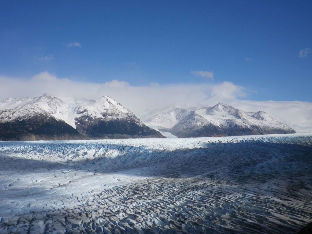 Album - 03/ Puerto Madryn et Torres del Paine