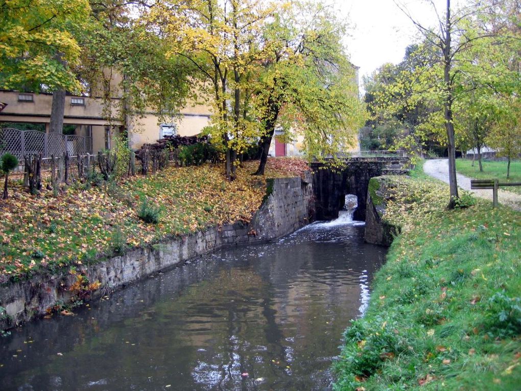 Pennautier, l'Aude, Carcassonne et ses environs... le canal du Midi... Les photos de ma région d'adoption.