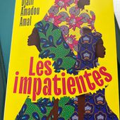 Les impatientes de Djaili Amadou Amal ( éditions J’ai Lu )