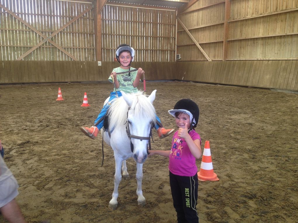 MINI CAMP EQUITATION EN IMAGE