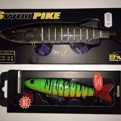 Biwaa STrout et SwimPike.