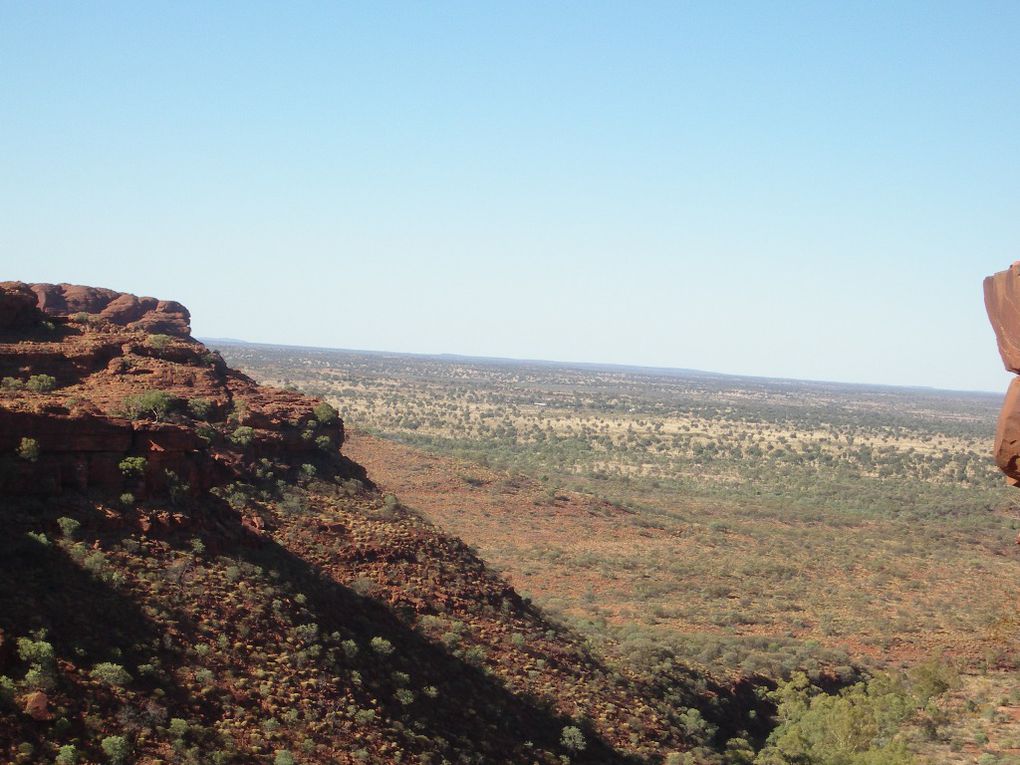 Album - The-Ultimate-Oz-Experience-2--Outback--The-Olgas---Ayers-Rock---Kings Canyon