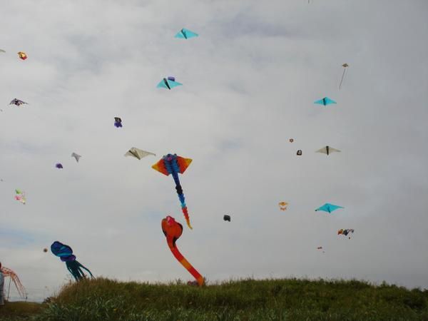 2 ièm édition du festivent en Gaspésie !!!!! Capotant !!!