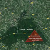 Contre le projet éolien dans la forêt de Lanouée - Non au projet éolien géant en forêt de Lanouée ( Morbihan - Bretagne)
