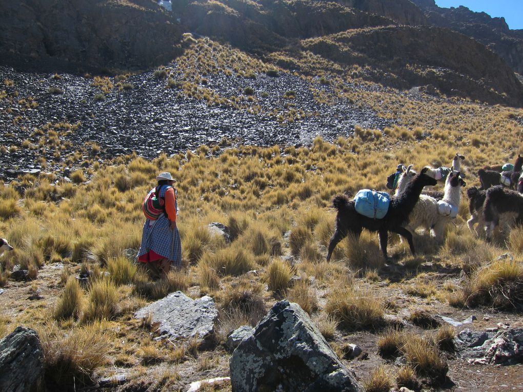 Album - Rando-Cordillera-Real-Bolivie_Jul12