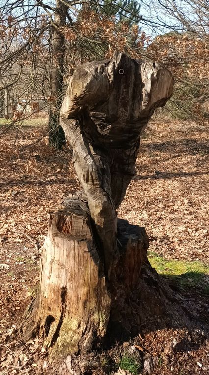 Des jolies statues de bois sculptées dans les arbres morts 