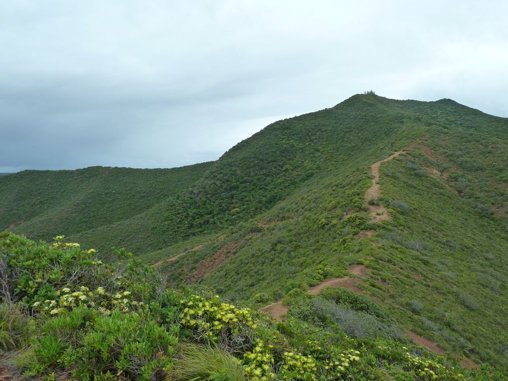 Album - Nouvelle-Caledonie-Iles-des-Pins