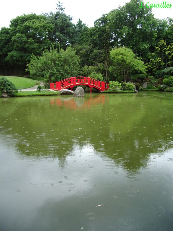 Album - Jardin-japonais-de-Toulouse