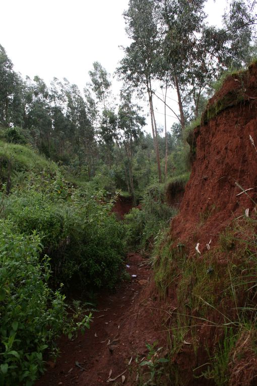 Yeteem Children and Destitute Mothers Fund, Asko (quartier périphérique à l'Ouest d'Addis), de l'autre côté de Wingate (porte vers l'autoroute). Difficile d'accès en ce moment car une route est en construction...