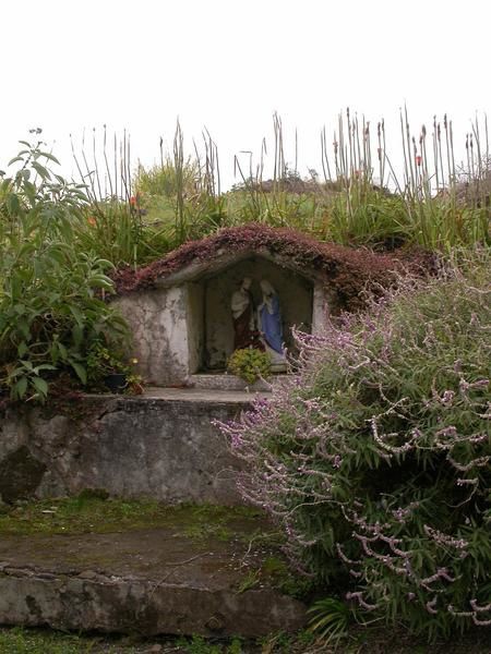 les arts naturels, les yeux sur l'&icirc;le de La R&eacute;union