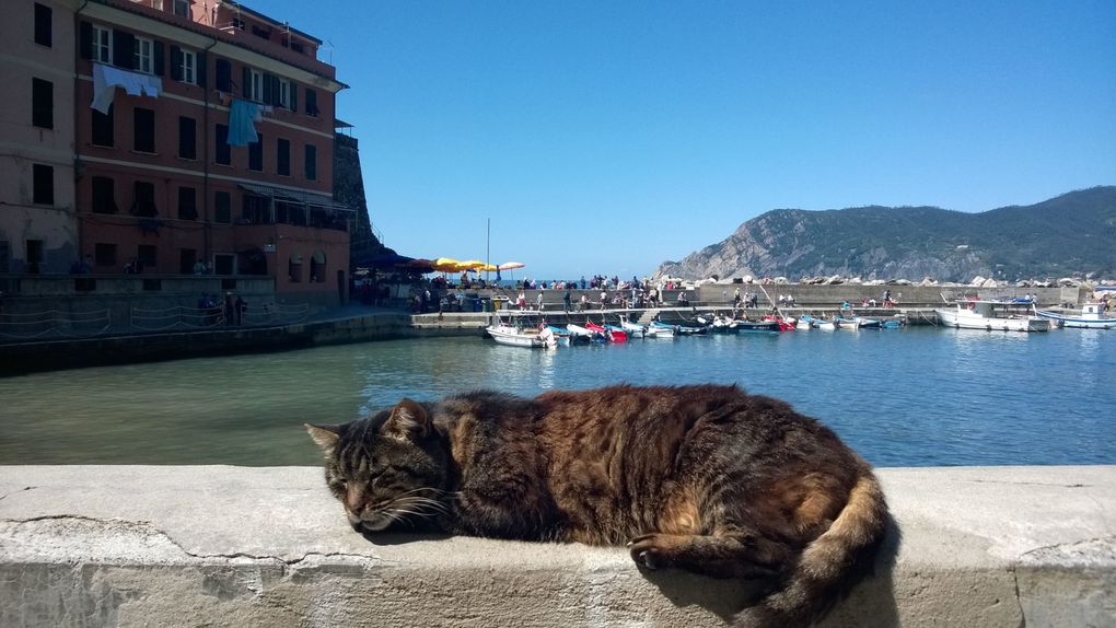 Album - Croisiere-8.La-Spezia