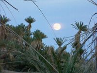 La piste nous mène à un oasis "de cinéma". Tout est parfait; le calme, les palmiers, le lever de lune d'un coté et le coucher de soleil de l'autre. Ma cinquantaine de photo pourrait en faire voir plus, je craque toujurs autant pour les couchers de soleil mais celui -ci est parmis les plus beaux.