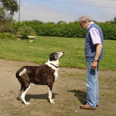 Face à Face, Défi de la plume d'évy N° 103