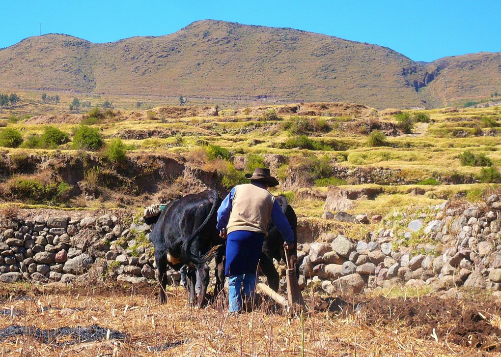 Album - Perou-Arequipa-Colca