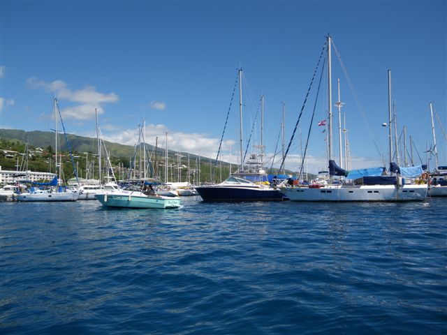 Un dimanche ensoleillé passé en compagnie de Fabien, Sophie, Linda, Stéphane et Salma ... à la rencontre des baleines.