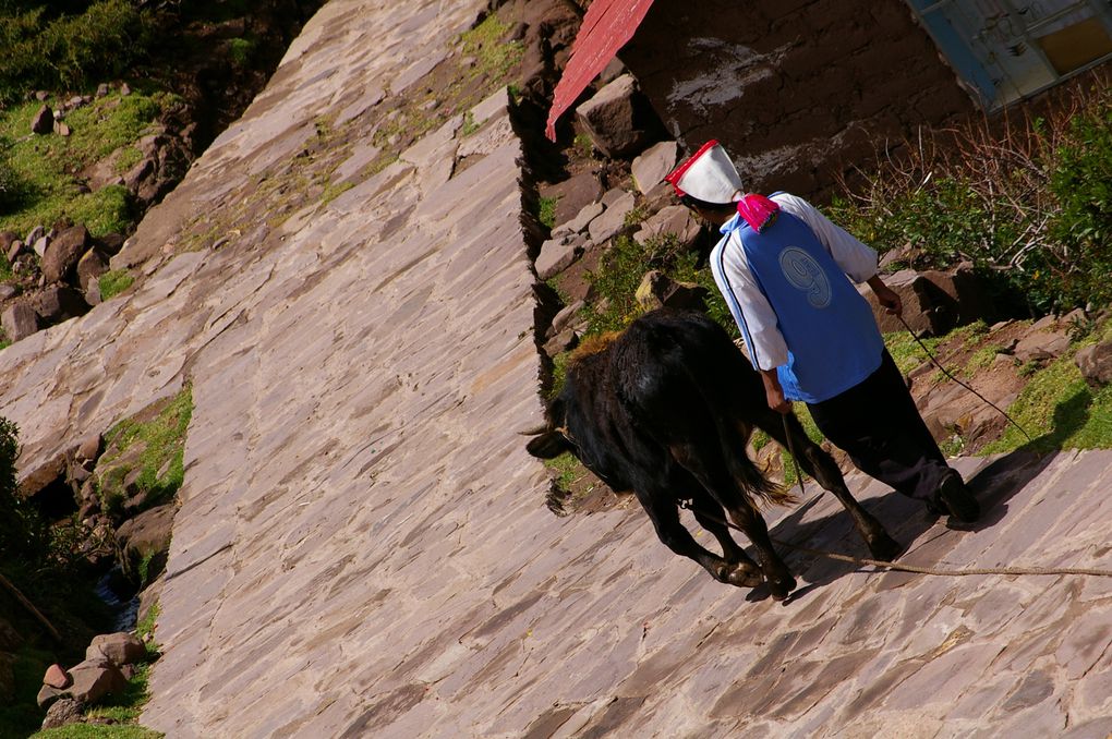 Deux jours pour découvrir les îles péruviennes du lac Titicaca