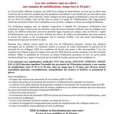 Les vies scolaires sont en colère :  une semaine de mobilisations, temps fort le 19 juin ! 