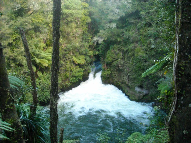 Album - Rotorua