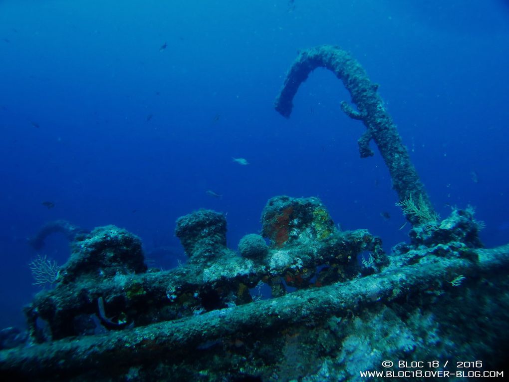 Wreck Diving : Le Liban, septembre 2016