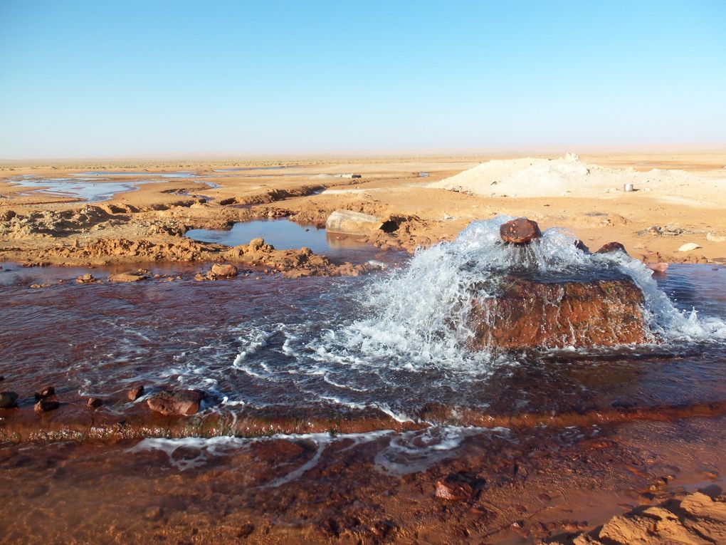 Album : TUNISIE 2012 Raid-EL-MIDA