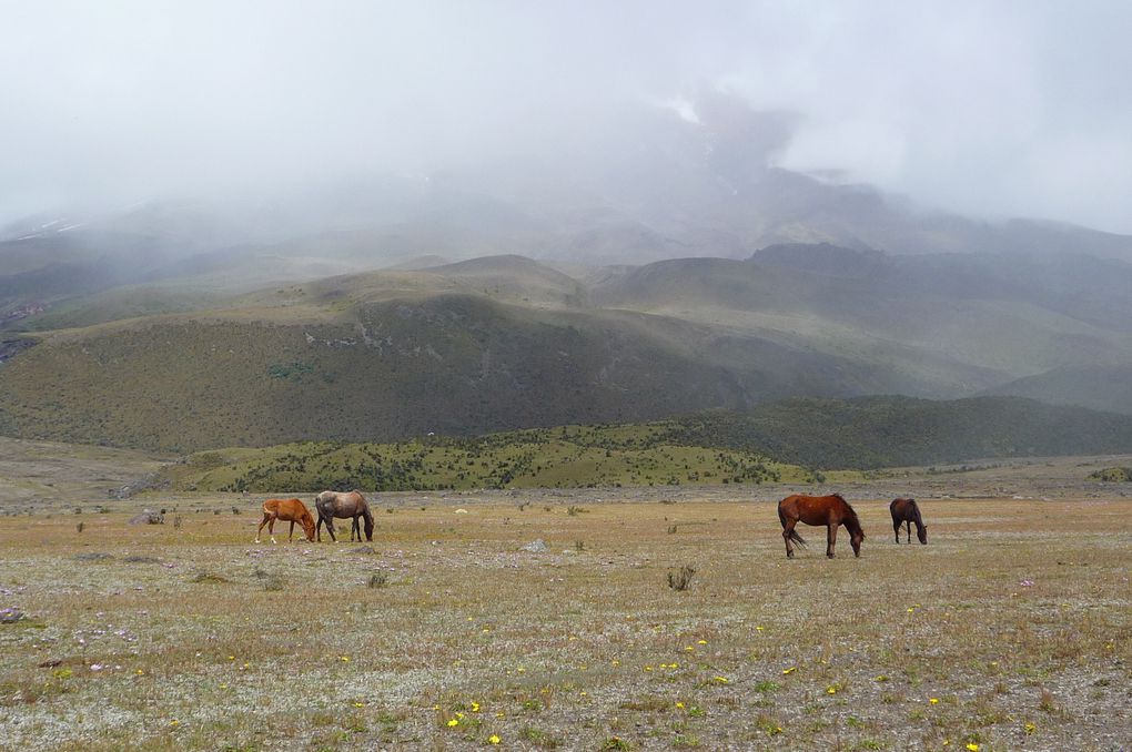 Album - Equateur