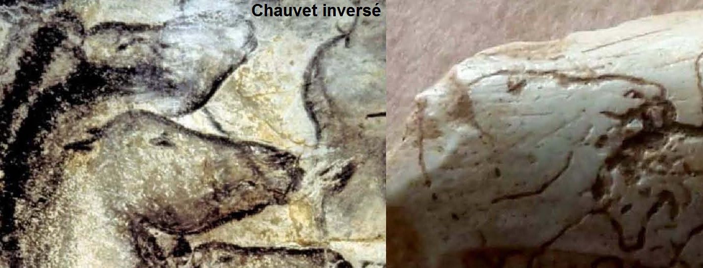  préhistoire bear prehistory  chauvet lascaux