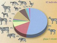 Répartition des espèces d'animaux consommés sur l'oppidum de La Liquière durant différentes phases d'occupation.