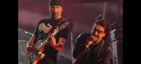 Bono & The Edge Original of the Species (Acoustic Version)