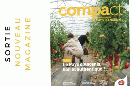 Le plaisir de jouer