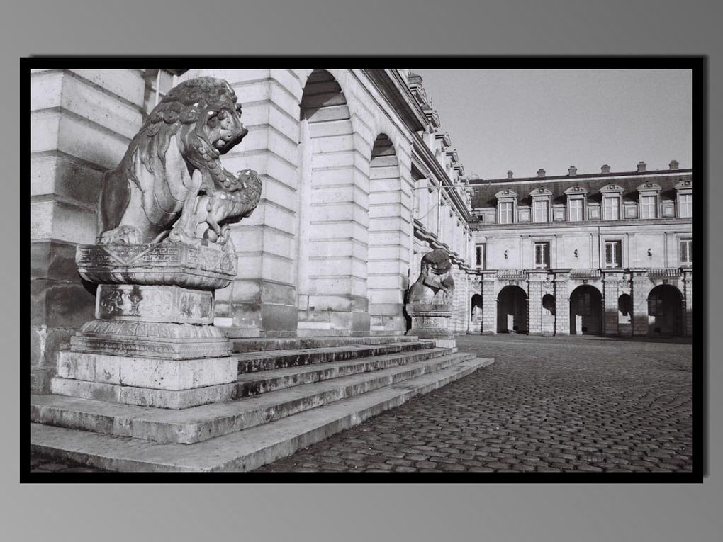 Album - château-de-Fontainebleau