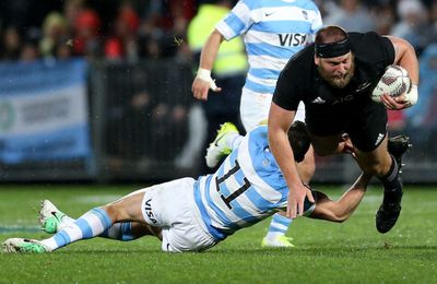 Nouvelle-Zélande / Argentine (Rugby Championship) en direct samedi sur Canal+Sport