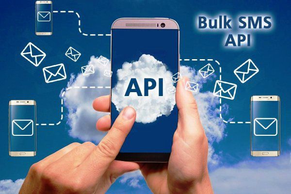 How Do I Use SMS API From My Own System To Send SMS Using Python Or PHP