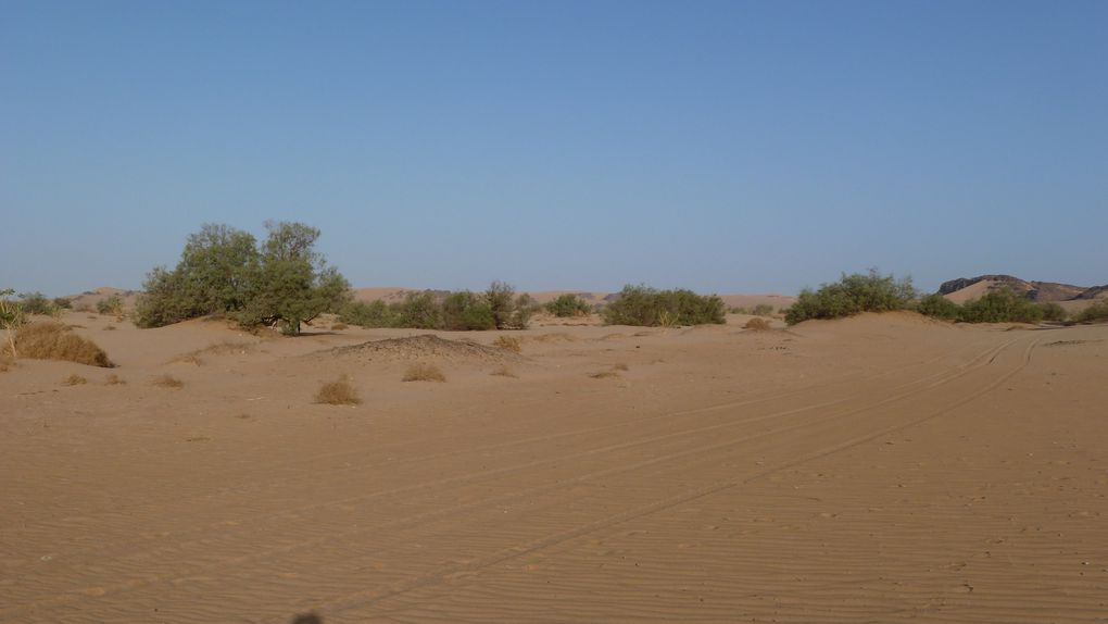 TREK D'UNE SEMAINE DANS LE MASSIF DE LA TADRART - DEFILEMENT DES COULEURS - SAHARA ALGERIEN - SUD EST (NOVEMBRE 2010)