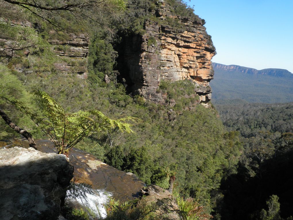 Par National des Blues Mountains, Katoomba (près de Sydney)