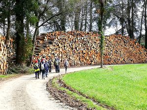 Une journée de randonnée autour de Belle Isle en Terre