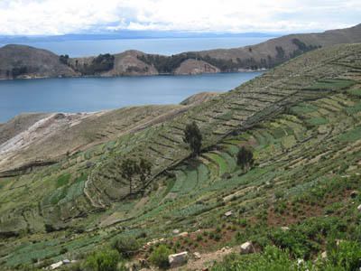 Album - bolivie