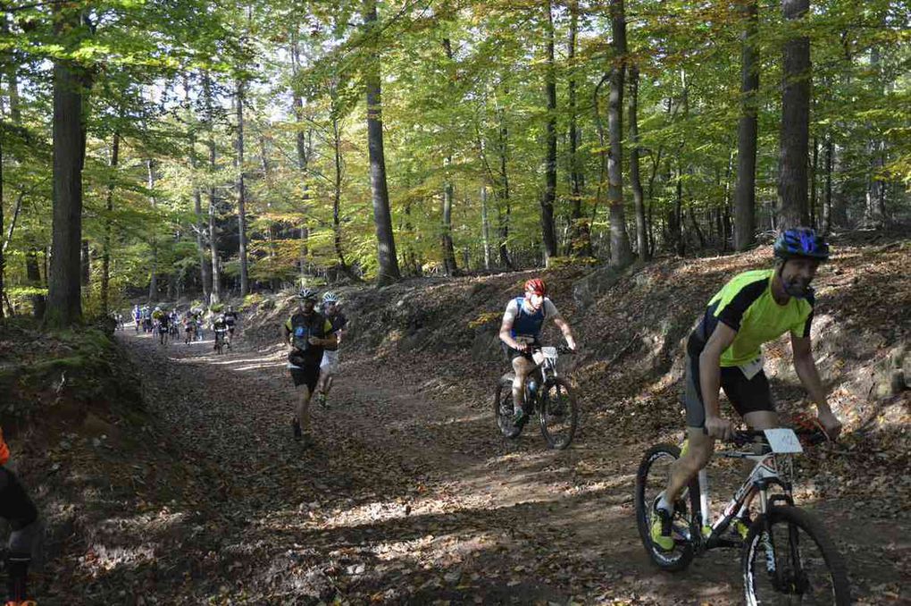 Photos 7ème Bike and Run des Vosges du Nord