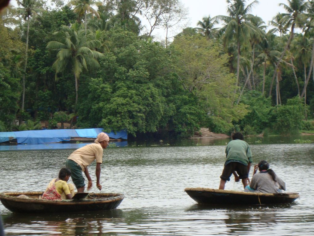 Album - Cochin